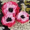 Prima Marketing Inc Poppies & Peonies Col. - Pink 655350922214